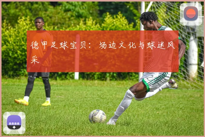 德甲足球宝贝：场边文化与球迷风采
