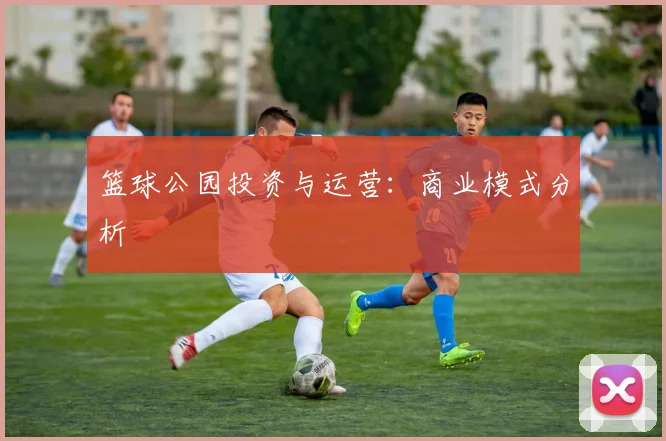 篮球公园投资与运营:商业模式分析
